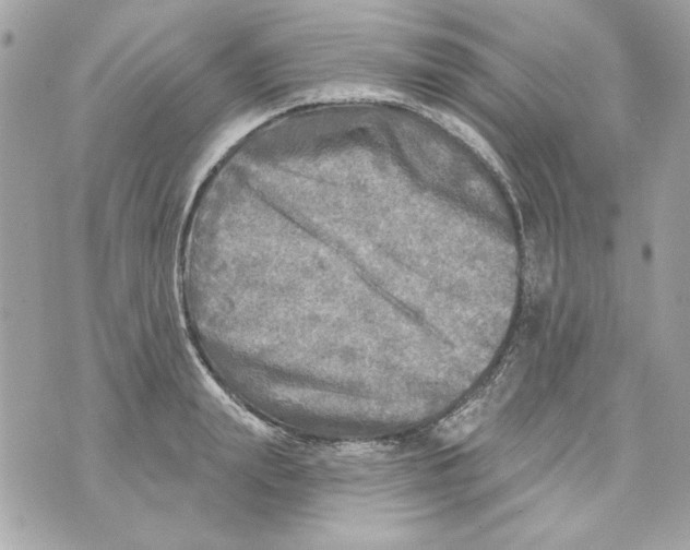 X0000070420847200607072332