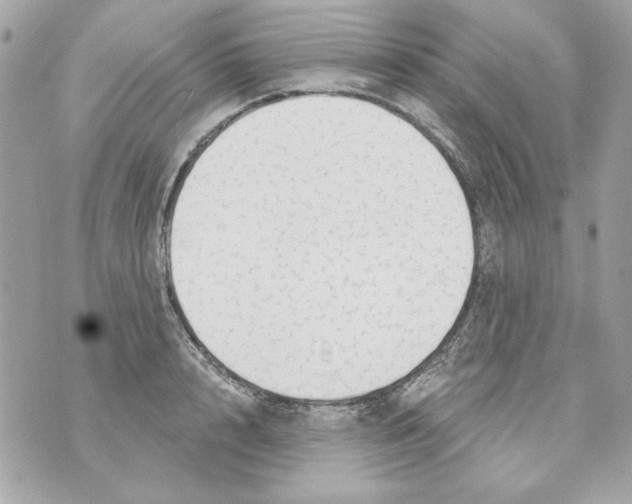 X0000070420848200607072332