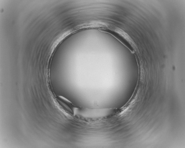 X0000070420850200607072332