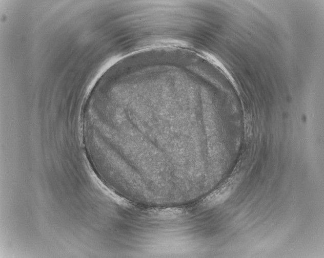 X0000070420851200607072332