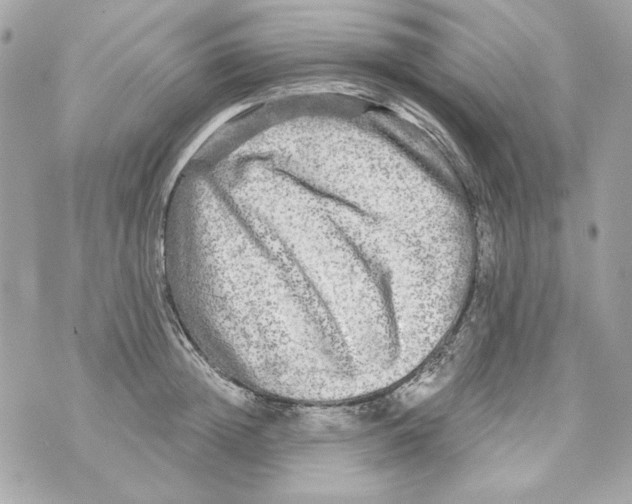 X0000070420852200607072332