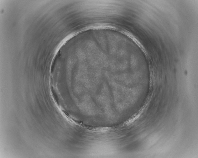 X0000070420853200607072332