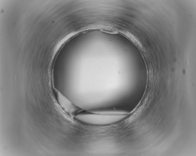 X0000070420854200607072332