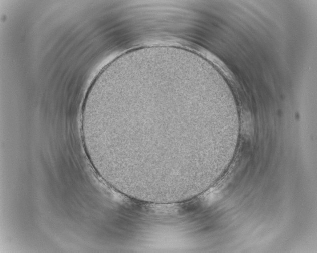 X0000070420856200607072332