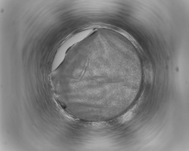 X0000070420857200607072332