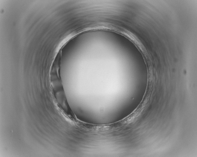 X0000070420858200607072333