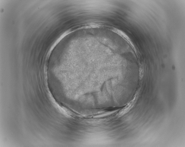 X0000070420859200607072333