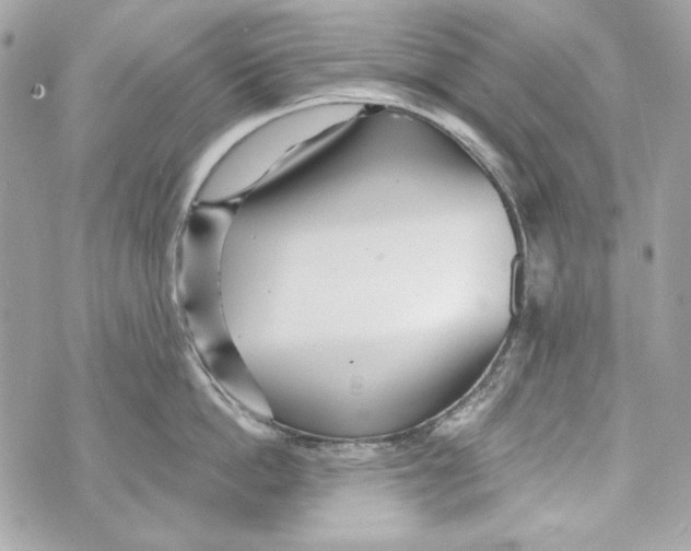 X0000070420862200607072333