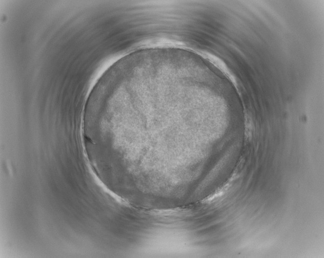 X0000070420863200607072333