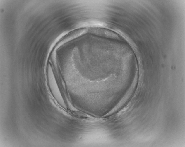 X0000070420864200607072333