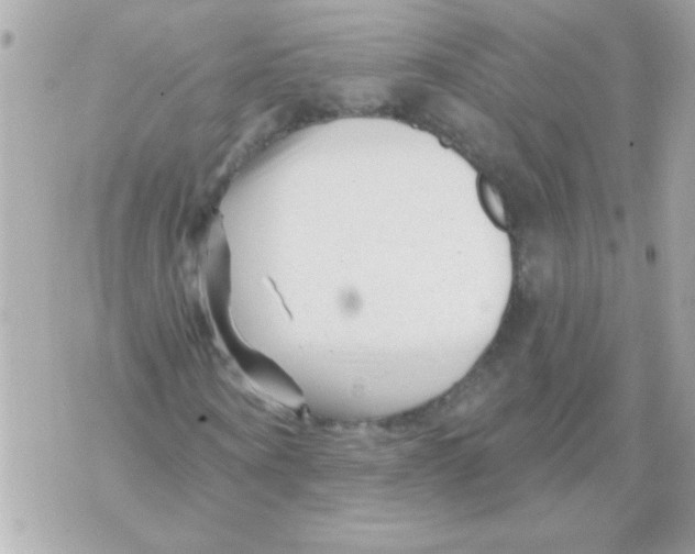 X0000070420866200607072332