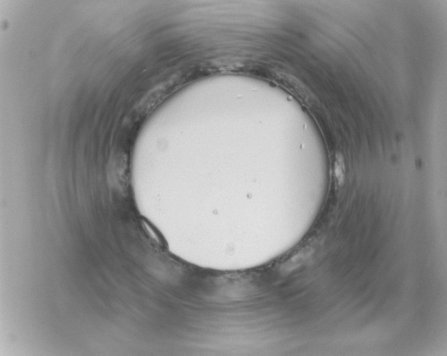 X0000070420867200607072332