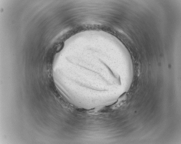 X0000070420870200607072332