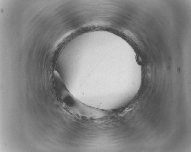 X0000070420872200607072332