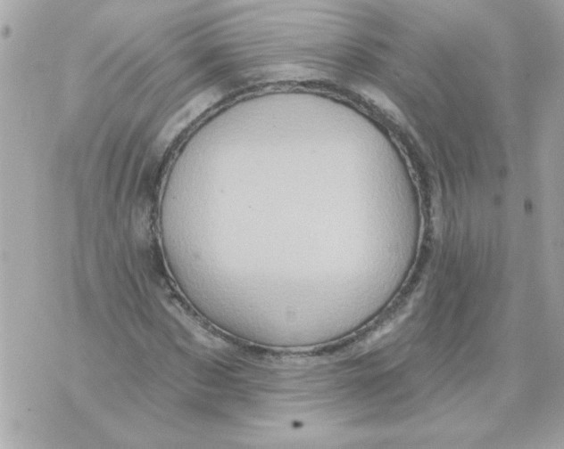 X0000070420873200607072332