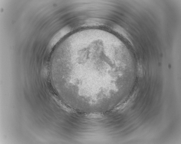 X0000070420874200607072332