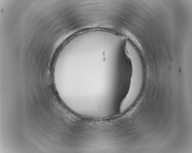 X0000070420876200607072332