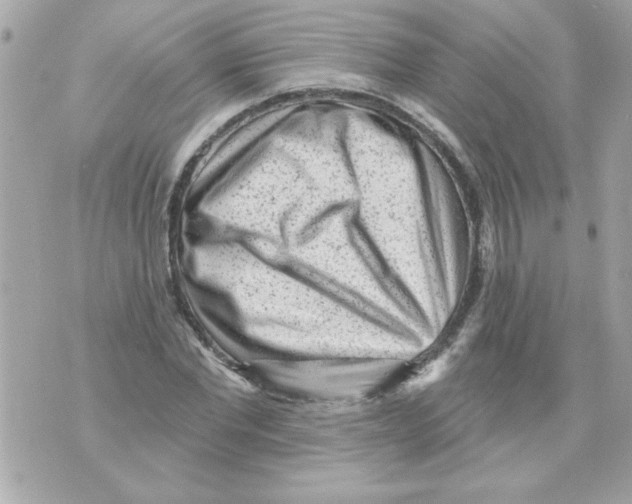 X0000070420877200607072332