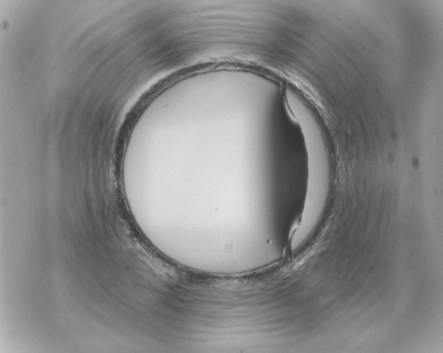 X0000070420880200607072332