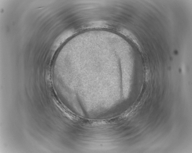 X0000070420882200607072332