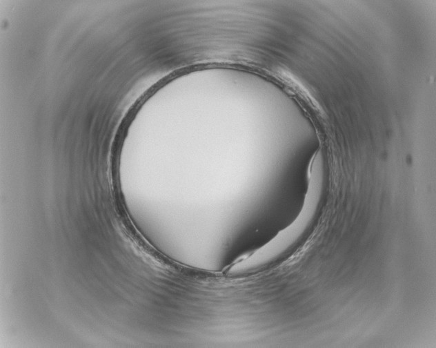 X0000070420884200607072332