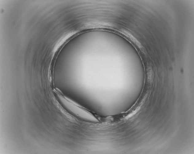 X0000070420885200607072332