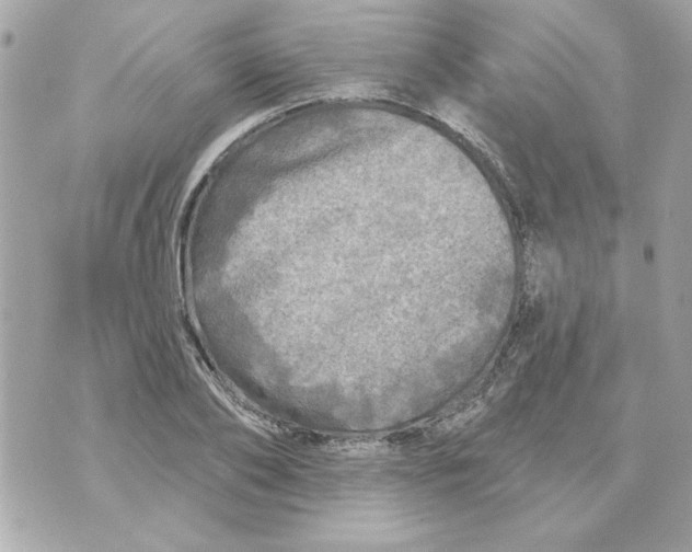 X0000070420886200607072331