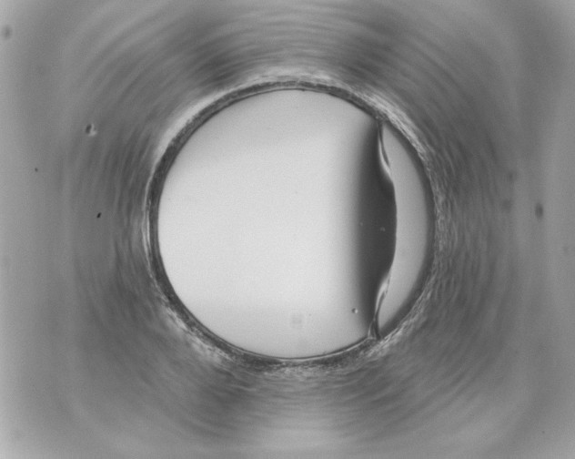 X0000070420888200607072331