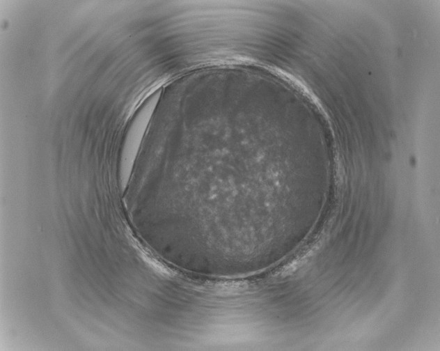 X0000070420889200607072331