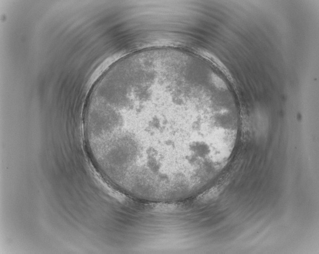 X0000070420890200607072331