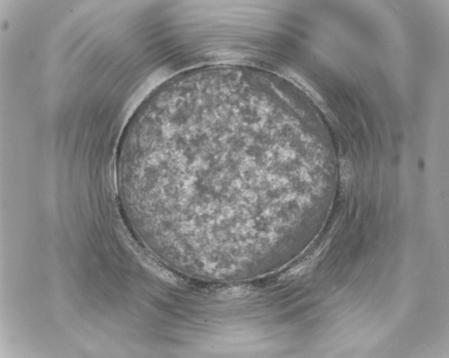 X0000070420891200607072331