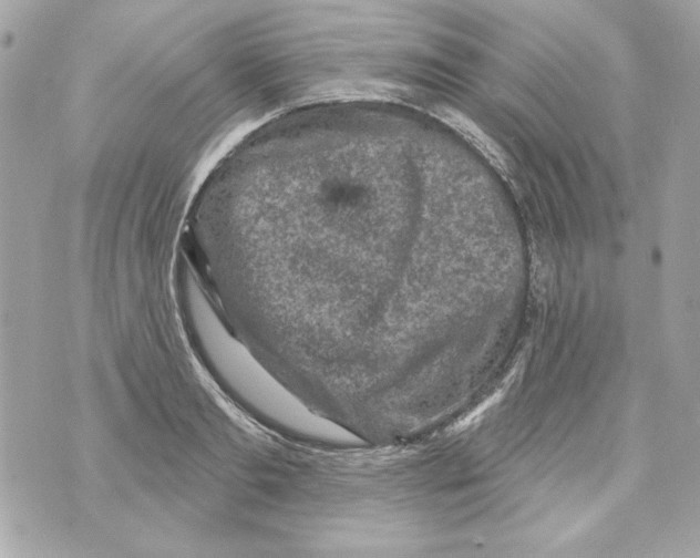 X0000070420893200607072331