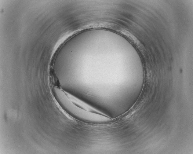 X0000070420894200607072331