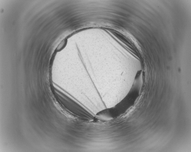 X0000070420896200607072331