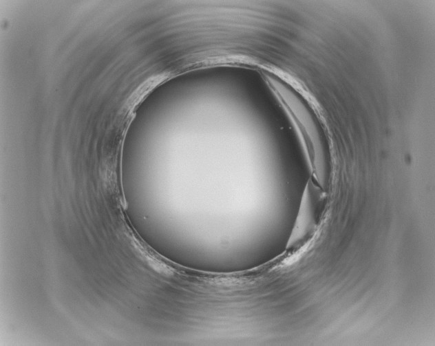 X0000070420897200607072331