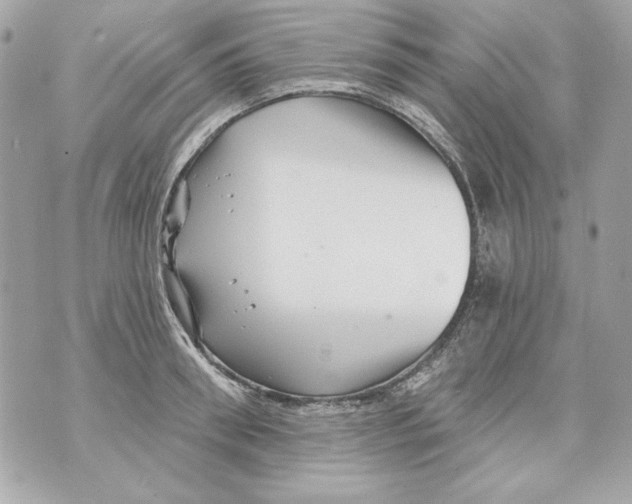 X0000070420898200607072331