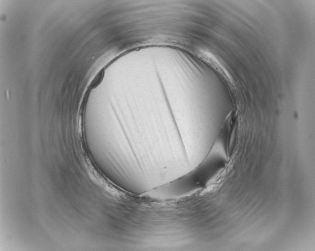 X0000070420900200607072331