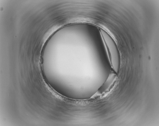 X0000070420901200607072331