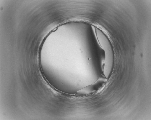 X0000070420902200607072331