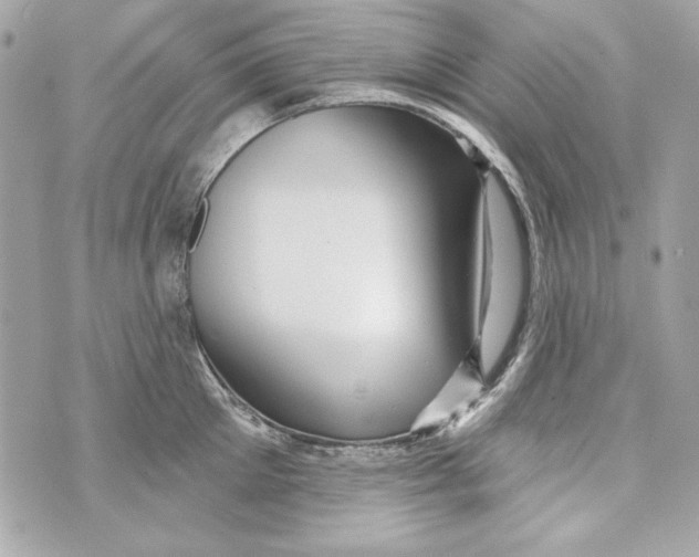 X0000070420905200607072331