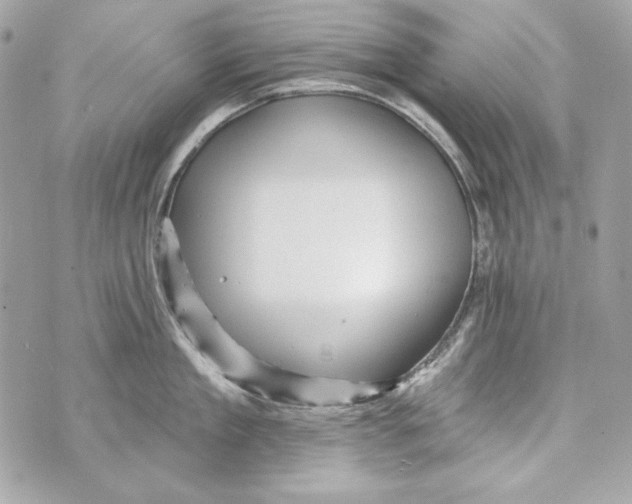 X0000070420909200607072331