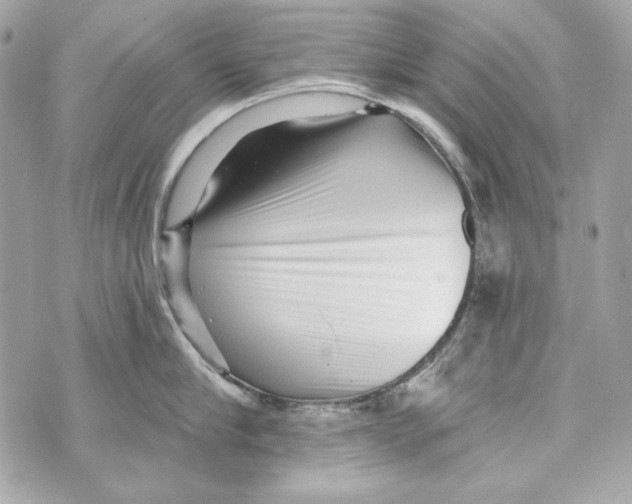 X0000070420910200607072331