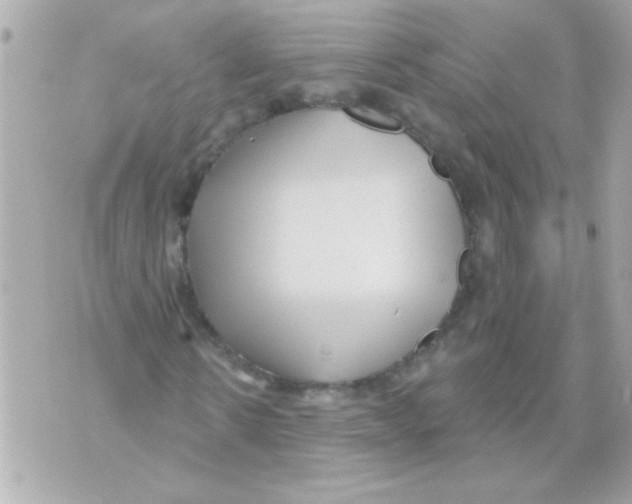 X0000070420914200607072330