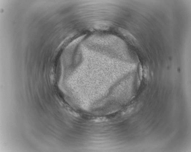 X0000070420915200607072330