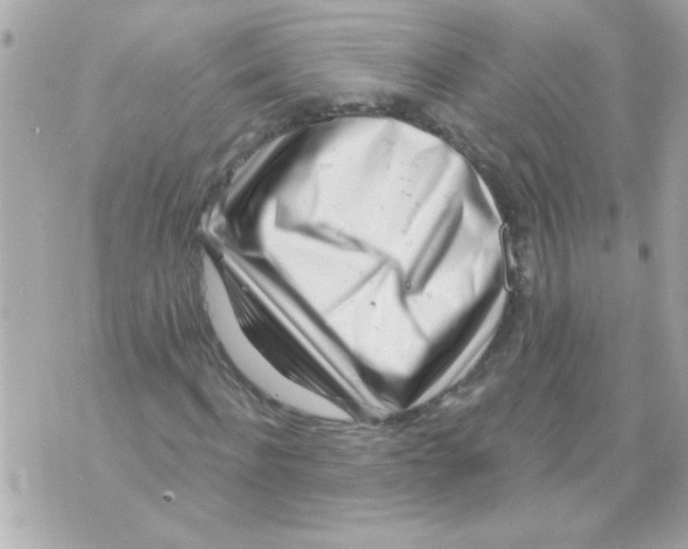 X0000070420916200607072330