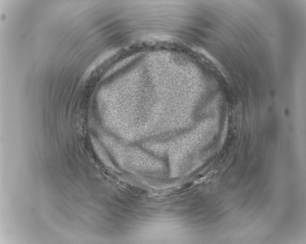 X0000070420919200607072330