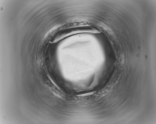 X0000070420920200607072330