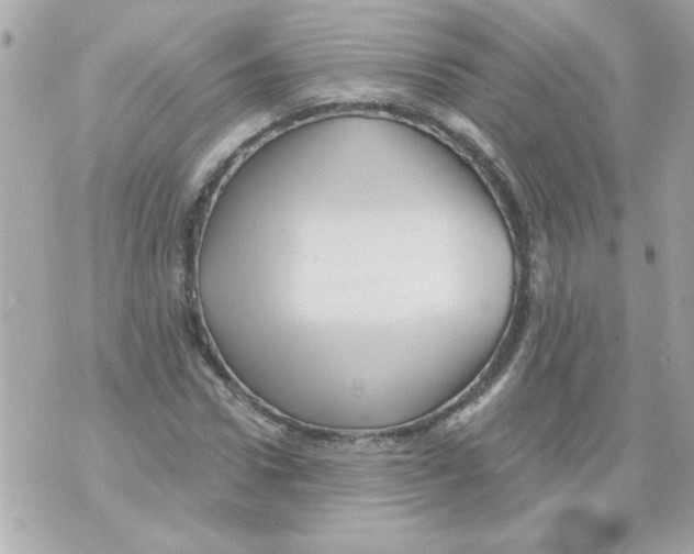 X0000070420922200607072330