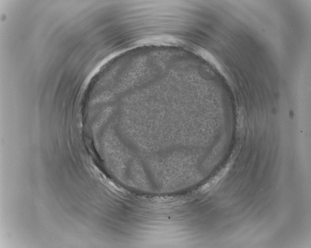 X0000070420923200607072330