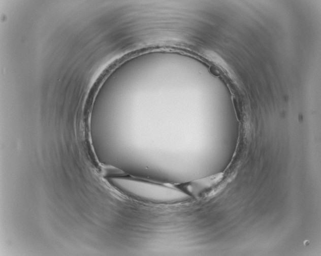 X0000070420924200607072330